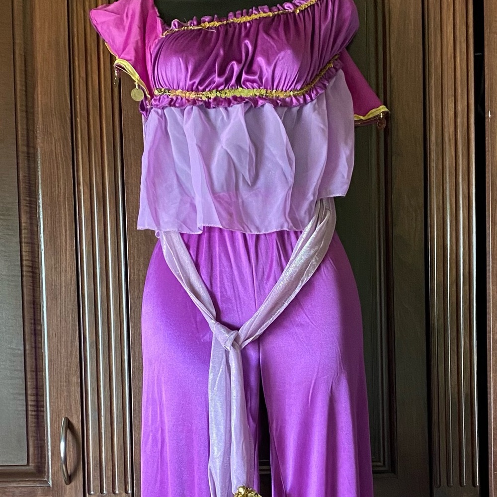 Belly Dancing Costume size large - Picture 4 of 5